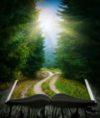 Way through the forest on the book