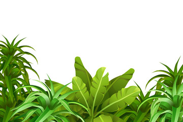 Tropical jungle background with space for text