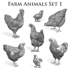 Vector Farm Animals engraving. Chickens and Roosters