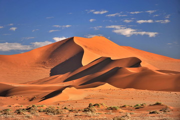 Namibia. Red dunes in the Namib Desert