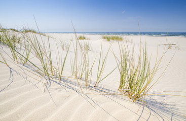 Dzika bałtycka plaża w Białogórze