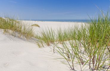 Dzika bałtycka plaża w Białogórze