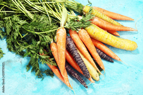 Фото: pile of carrots. Crate of mixed fresh harvested colorful carrot. pile of carrots. Crate of mixed fresh harvested colorful carrot.