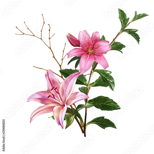 Иллюстрация: illustration of beautiful flower on white background illustration of beautiful flower on white background