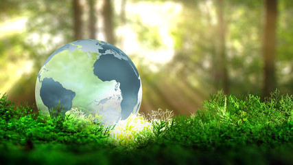 Globe terrestre sur de la végétation en foret. Concept écologique. Rendu 3D.
