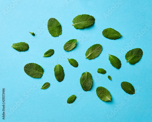 Фото: A set of different mint leaves on a blue background. Natural background. Flat lay A set of different mint leaves on a blue background. Natural background. Flat lay