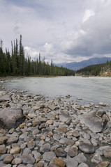 Athabasca Falls in Alberta in Canada 