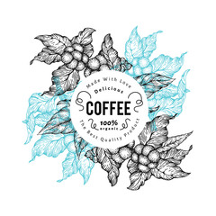Coffee tree vector illustration. Vintage coffee background. Hand drawn engraved style illustration.