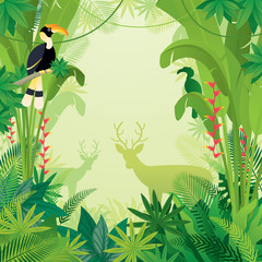 Hornbill and Deer in Tropical Jungle Background, Forrest, Rainforest, Plant and Nature 