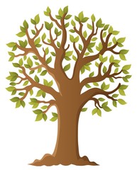 Tree topic image 5