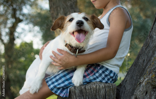 Plakat CHILD HUGGING JEGO PIĘKNIE I MAŁE JACK RUSSELL DOG SIEDZENIE W DRZEWO NA LATO