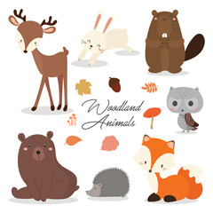 Set of cute illustration of woodland animals