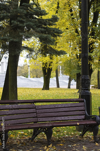 Foto obraz na płótnie canvas jednoczęściowy - Brown bench in park and trees with fallen leaves. Autumn.