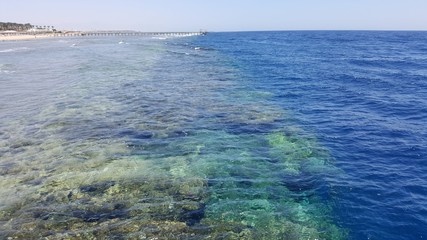 Egipt Sharm el sheikh  rafa koralowa