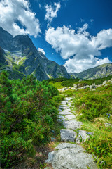 Trail to black lake under Rysy peak, Tatra Mountains, Poland