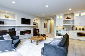 Beautiful modern living room interior with stone wall and fireplace in luxury home