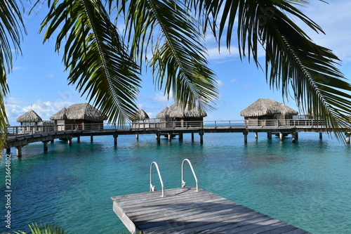 Zdjęcie XXL Tropikalne chaty wodne, bungalowy w Bora Bora Tahiti idylliczne wakacje miesiąc miodowy z liści drzewa palmowego