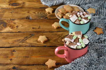 A cup of cocoa decorated with marshmallow