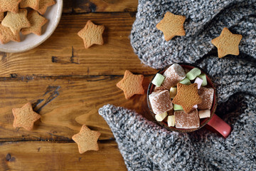 Cup of cocoa decorated with marshmallow