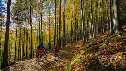 Cycling, mountain biker couple on cycle trail in autumn forest. Mountain biking in autumn landscape forest. Man and woman cycling MTB flow uphill trail.