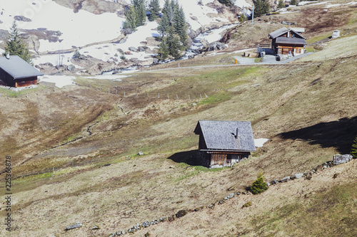 Zdjęcie XXL Domy w małej wiosce na halnych alps przy grindelwald pierwszy szczytem Szwajcaria Europa