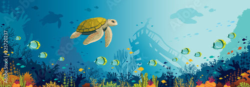 Underwater wildlife - turtle, coral reef, fish, sunken ship, sea. © Natali Snailcat