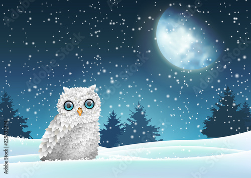 Winter background, owl sitting in snow under moon © Anikakodydkova