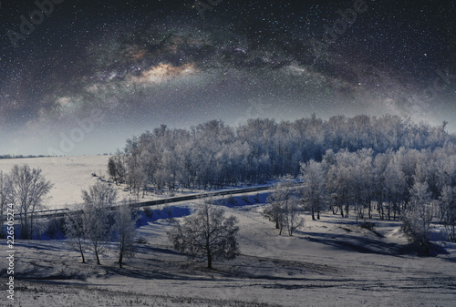 Winter landscape, forest covered by snow with sky full of stars © SasinParaksa