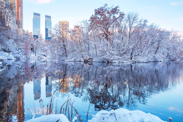 Central Park. New York. USA in winter covered with snow