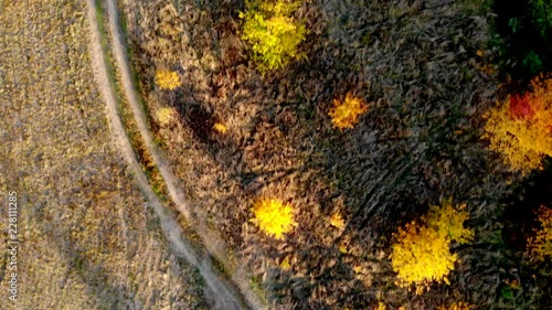 Forest seen from above. Beautiful, colorful woods in autumn. © Arkadiusz Fajer
