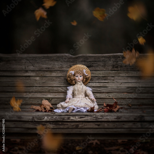 Doll on old rustic bench © marina