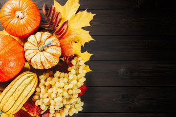 Ripe grapes, marrow and pumpkins on dark wooden background. Autumn seasonal image. Top view with copy space for your text