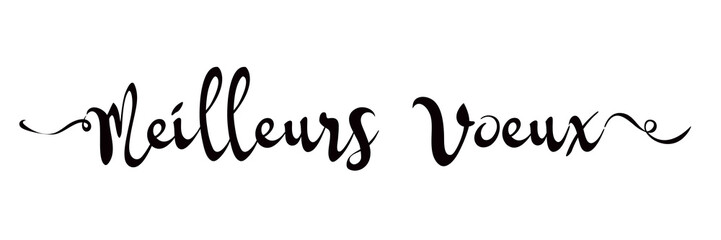MEILLEURS VOEUX TEXTE