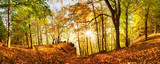 Autumn forest in mountain at sunset with sun
