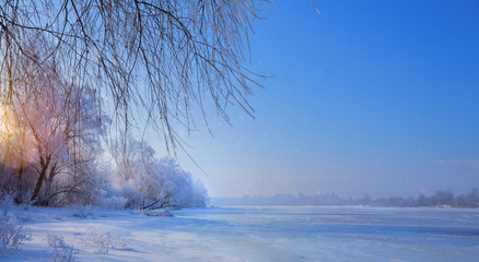  Frozen lake and snowy trees; Christmas winter Landscape