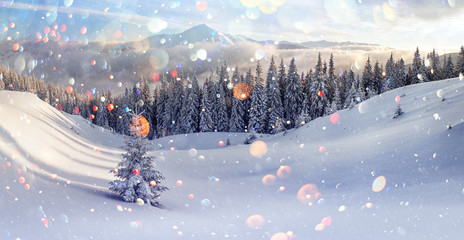 Fantastic winter landscape with snowy trees in high mountains. DOF bokeh light postprocessing effect. Christmas holiday collage