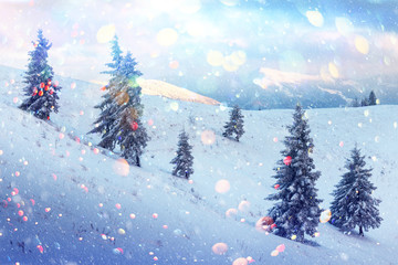 Fantastic winter landscape with snowy trees in high mountains. DOF bokeh light postprocessing effect. Christmas holiday collage
