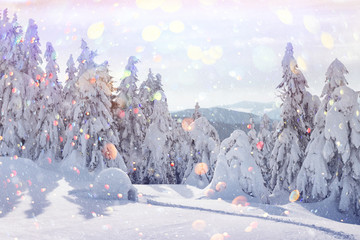 Real snow igloo house in the winter Carpathian mountains. Snow-covered firs on the background. Christmas holiday postcard collage. DOF bokeh light postprocessing effect