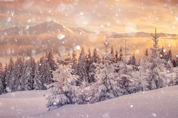 Fantastic orange winter landscape in snowy mountains glowing by sunlight. Dramatic wintry scene with snowy trees. DOF bokeh light postprocessing effect. Christmas holiday collage