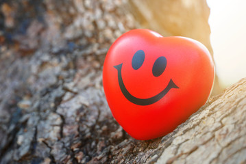 Red heart smile face lay on the tree with sunlight from background