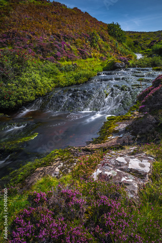 Zdjęcie XXL Moutain Rzeka Z Wodospadem Kaskadowym W Scenicznej Dolinie Z Kwiatami Na Wyspie Skye W Szkocji