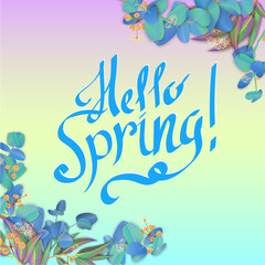 Spectrum hello spring background with beautiful eucalyptus blossom.