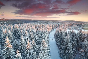 magischer Winterwald