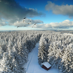 Winter im Thüringer Wald