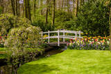 garden landscape. garden in spring