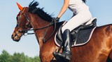 A woman jockey rides a horse in a competition in jumping.