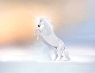 White unicorn reared on a snow