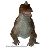 Keratocephalus Dinosaur over White with Font - Keratocephalus was a primitive herbivore dinosaur that lived in South Africa during the Permian Period.