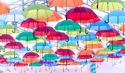 Colorful umbrellas hung in the sunny sky. Street decoration in tourist areas to attract visitors