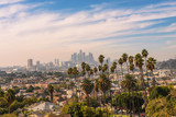 Los Angeles skyline at sunset with palm trees in the foreground